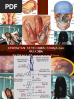 Download Penyakit Kelamin Dan Bahaya Narkoba by dr liza MPdI  MM CHt SN6239841 doc pdf