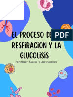 El Proceso de La Respiracion y La Glucolisis: Por:Omar Ávalos y Lizet Cordero