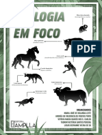 EcologiaEmFoco