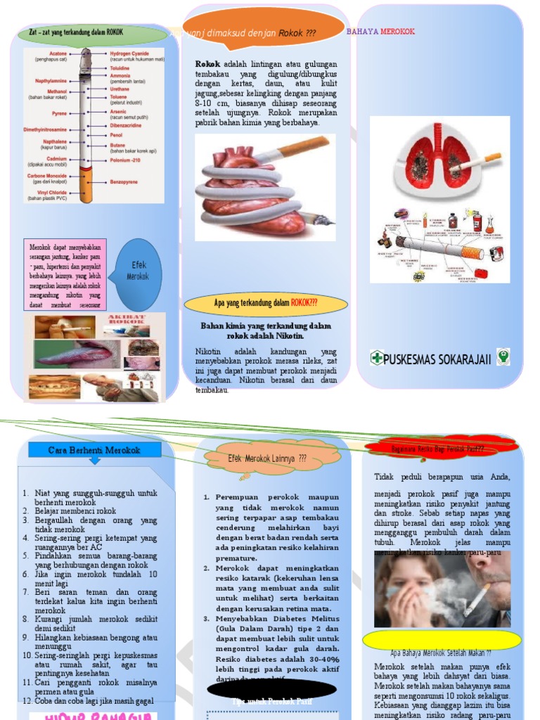 Efek Berbahaya Merokok dan Zat Kimia yang Terkandung dalam Rokok | PDF