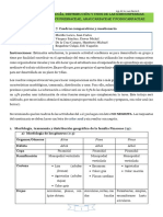 DENDROLOGIA DE LAS GEIMNOSPERMAS Cuadros Comparativos