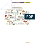 100 6TH Sem-Dse4t-Classification of Mushroom - Saini Mandal