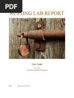 Iron Nail Rusting Experiment Results | PDF | Rust | Iron