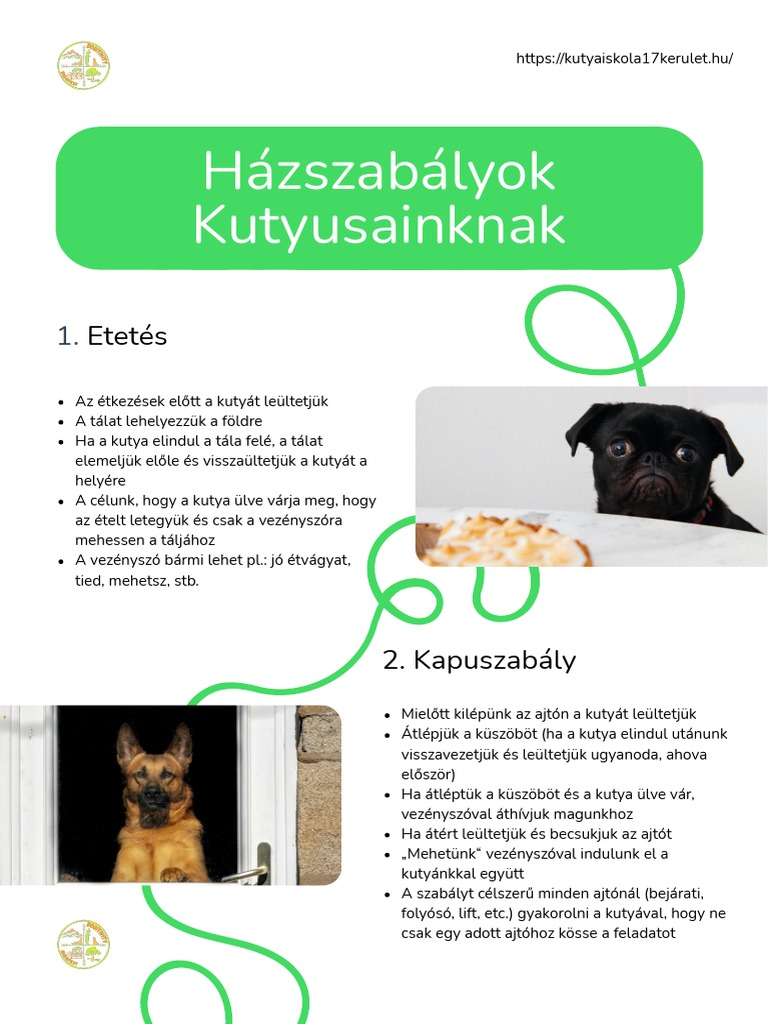 Dogsi | PDF