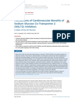 Mechanisms of Cardiovascular Benefits of SGLT2 Inhibitors