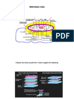 103 Metabolizam Mikroorganizama 1