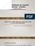 Presentación Diplomado-Udabol-Organo Judicial