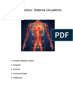 Trabajo Práctico_ Sistema Circulatorio