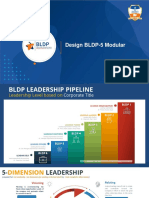 BLDP-5 Leadership Pipeline