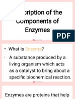 Description of The Components of Enzyme