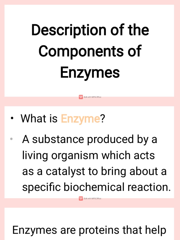 Description of The Components of Enzyme PDF