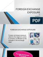 Foreign Exchange Exposure