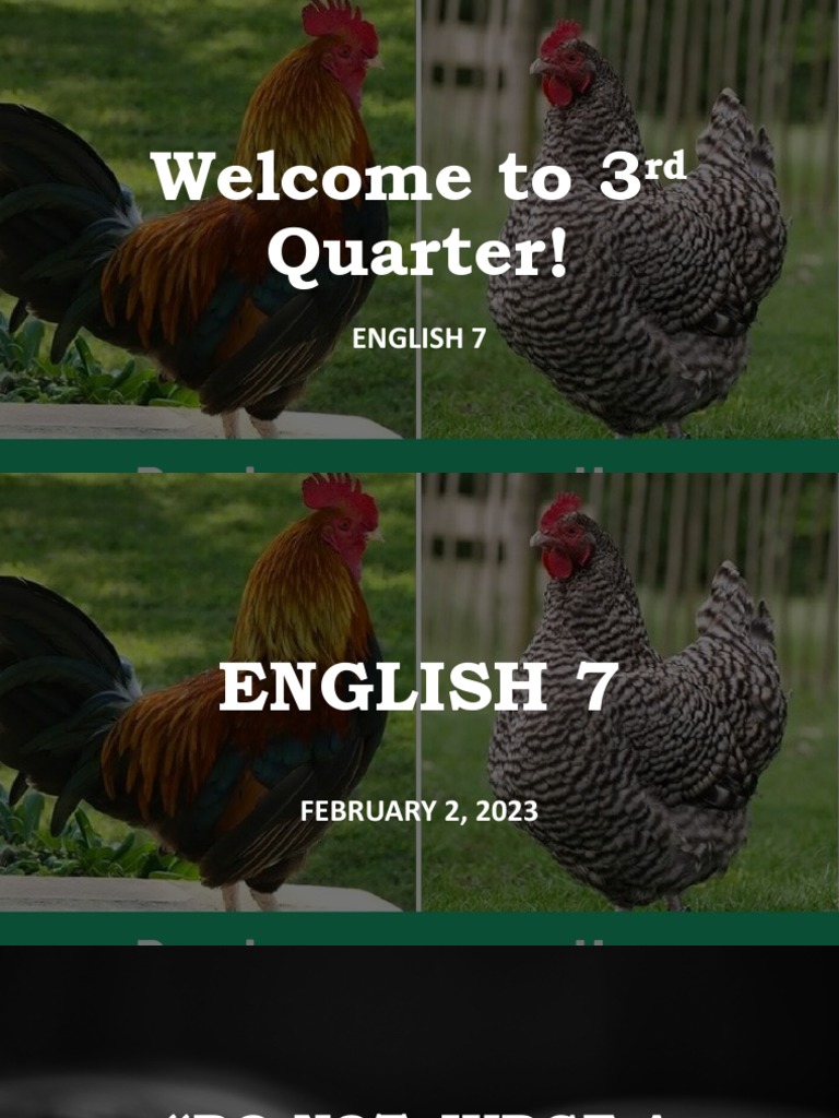 My Brother's Peculiar Chicken PDF Chicken