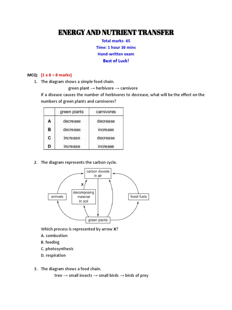 Biology II (Energy and Nutrient Transfer) PDF Food  Ecosystem