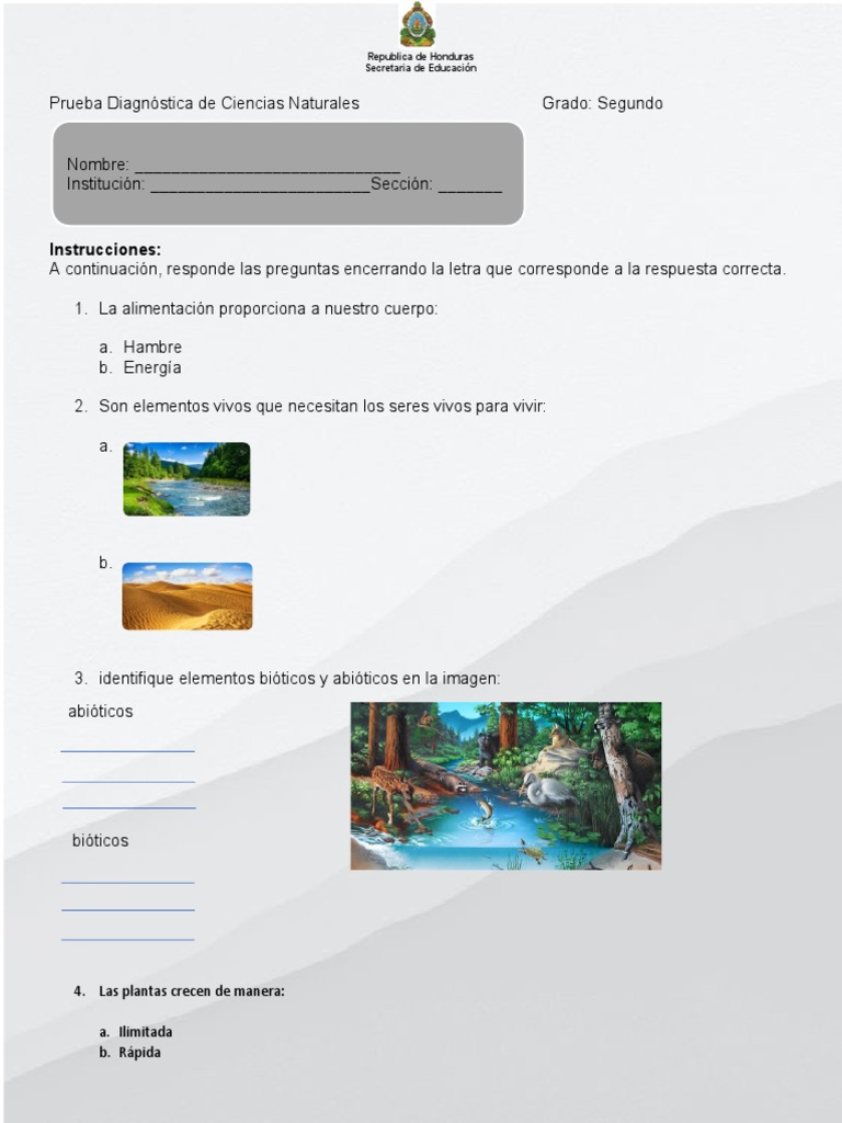 Prueba Diagnóstica de Ciencias Naturales 2° grado | PDF