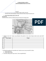 LKPD Reproduksi Kelas IX