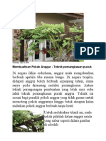 Membuahkan Pokok Anggur - Teknik Pemangkasan Pucuk