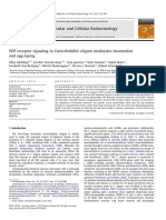 PDF Receptor Signaling in Caenorhabditis