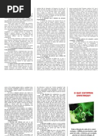 o Que Estamos Cantando