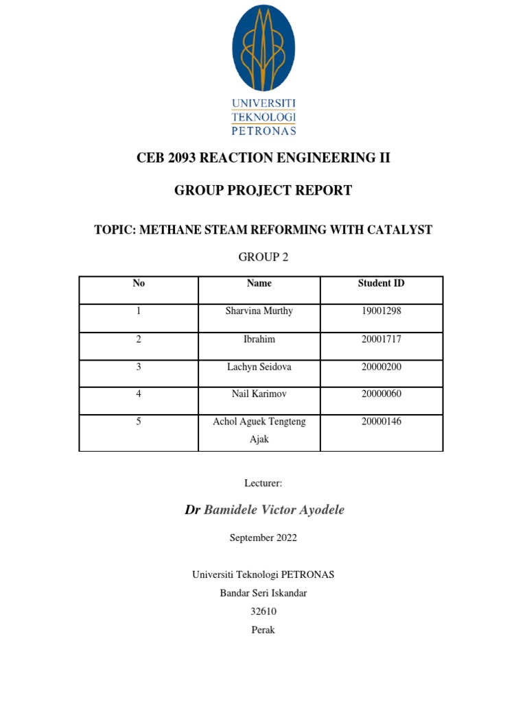 Methane Steam Reforming Project Report | PDF | Catalysis | Physical ...