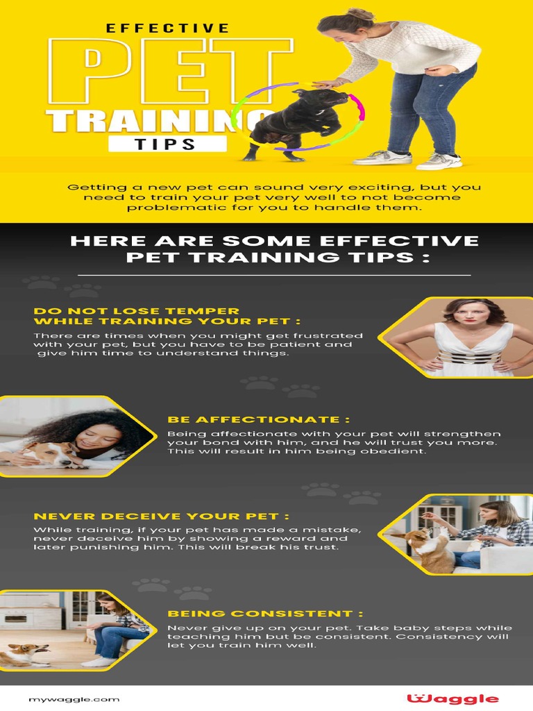 Effective Pet Training Tips PDF