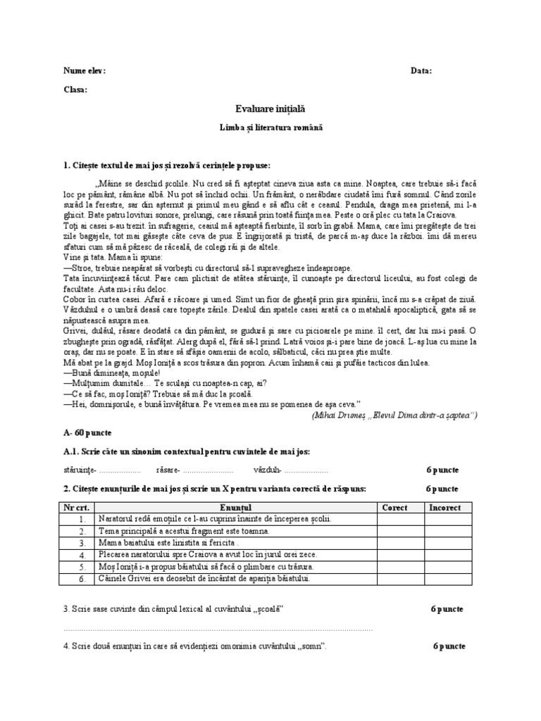 Test Initial Limba Romana-Clasa A 9 A | PDF