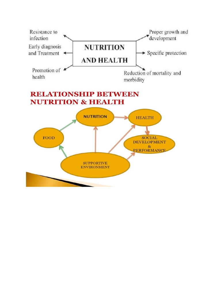 food-and-nutrition-pdf