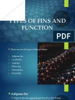 Types of Fins and Function