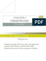 Sociology Chap 2 Cultural Diversity