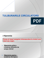 01 - Curs - Tulburari Circulatorii