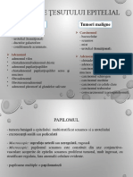 06 - 01 - Curs - Tumorile Tesutului Epitelial