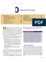 Organization and Contraction of Skeletal Muscle
