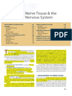 Nerve Tissue