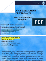 CURS 5. Euglenophyta. Dinophyta