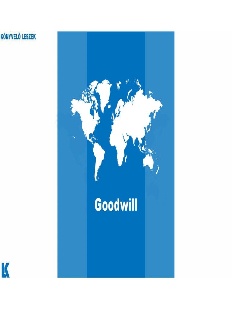 Goodwill | PDF