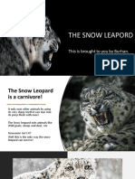 The Snow Leapord: This Is Brought To You by Burhan