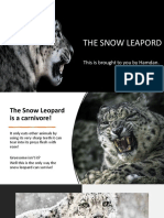 The Snow Leapord: This Is Brought To You by Hamdan