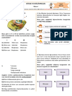 Sınıf Test-3 Hücre