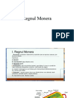 Regnul Monera1