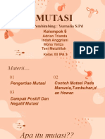 Contoh Dan Dampak Mutasi XLL Lpa 3 (Kelompok 5)