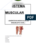 Anatomia Humana Exercicios Musculatura Apendicular Alunos