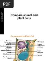 1.6 - Compare Animal Cells and Plant Cells