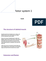 Lecture 9 Motor System 1