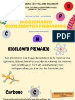 Diccionario Bioelemntos Primarios