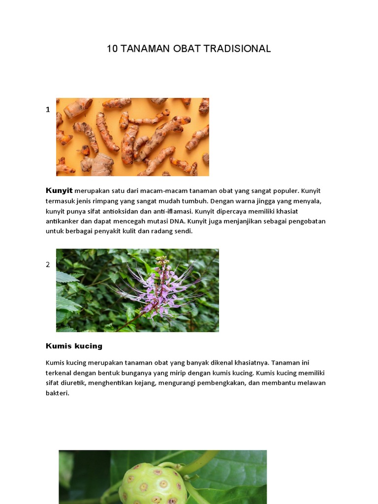 10 Tanaman Obat Tradisional Pdf