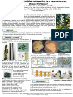 Establecimiento in Vitro de Orquídeas Chilenas