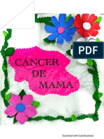 Rotafolio cáncer de mama