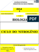 Aula 3 - Ciclo Do Nitrogênio (Slides) .