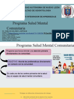 Programa Salud Mental Comunitaria EQUIPO 21