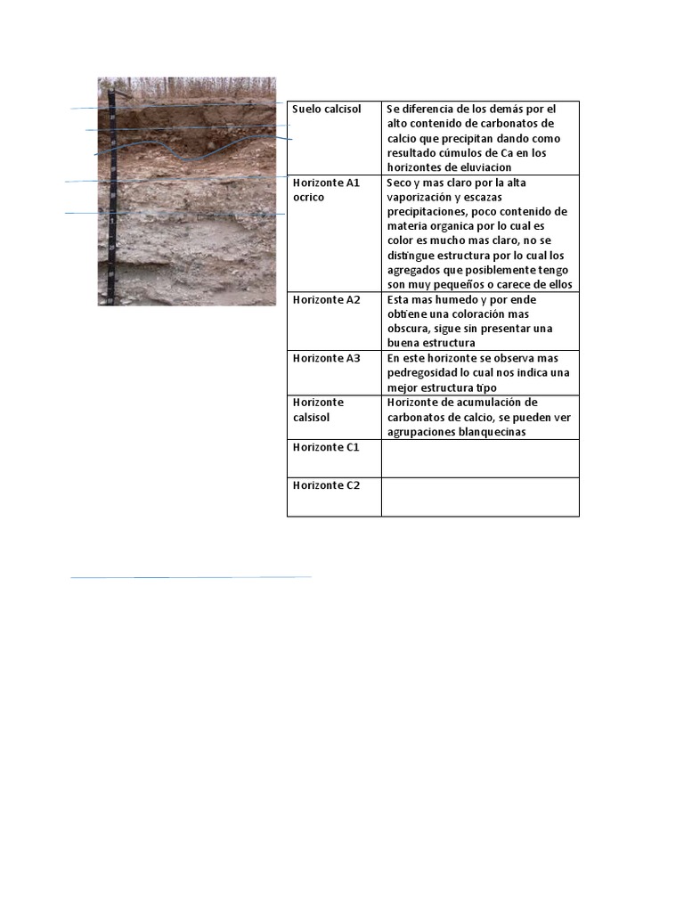 Características del Suelo Calcisol | PDF
